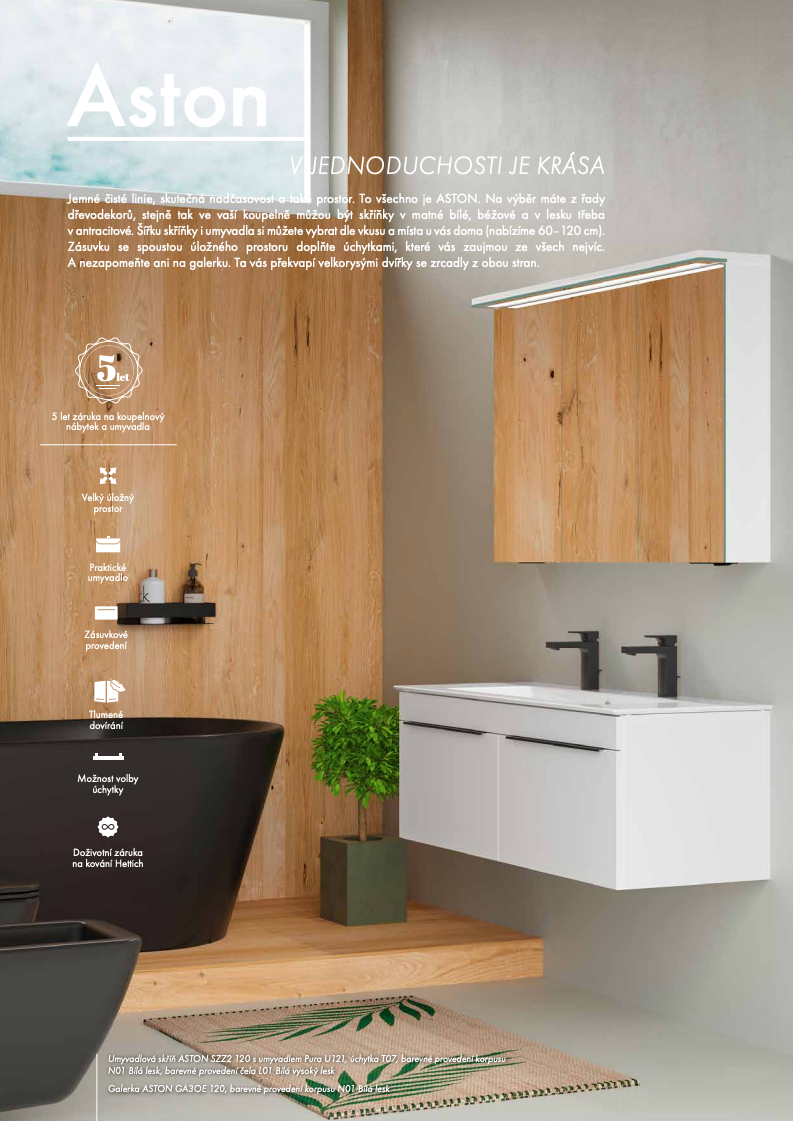 aston-vizualizace-s-popisem